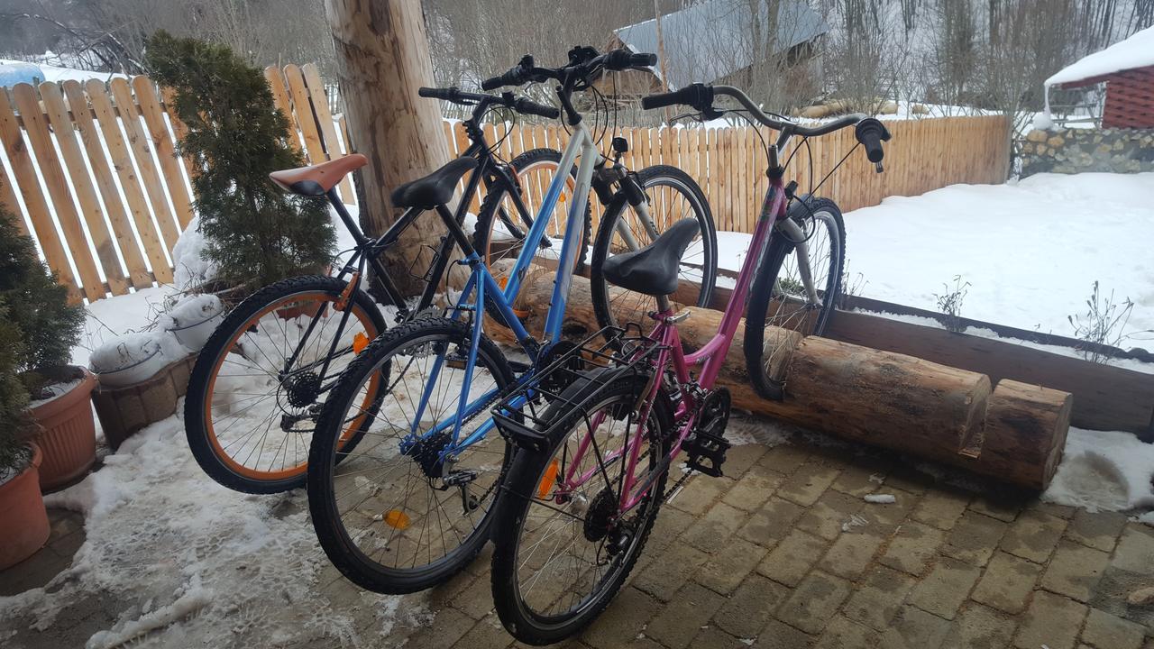 Casa Din Piatra Hotel Poiana  Екстериор снимка